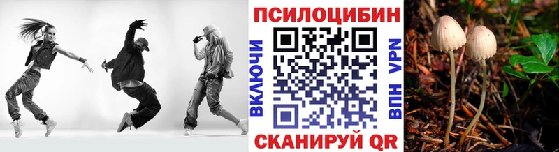 Галлюциногенные грибы Psilocybine cubensis  Холмск 